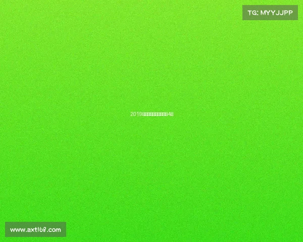 2019款乔治巴顿越野车防弹4级